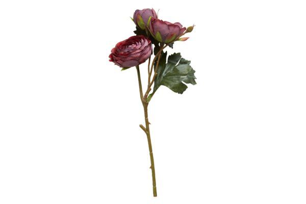 Speedtsberg Lotus blomst Rosa