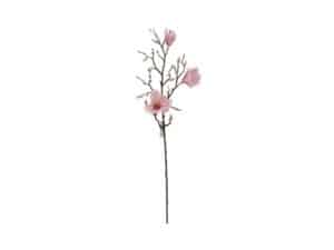 Magnoliagren 3 blomster Pink