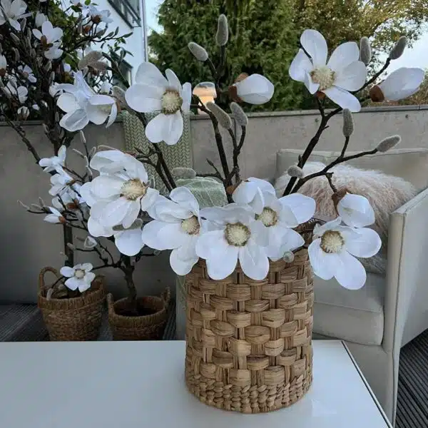 Magnoliagren 5 blomster Hvid