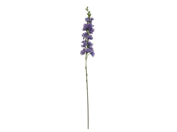 Speedtsberg Ridderspore stilk 90 cm