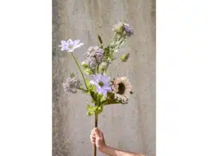 Speedtsberg Vild Gulerod stilk 73 cm