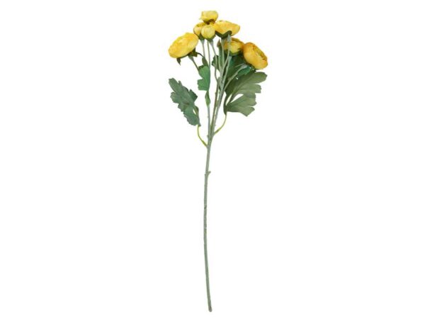 Speedtsberg Ranunkel stilk 48 cm