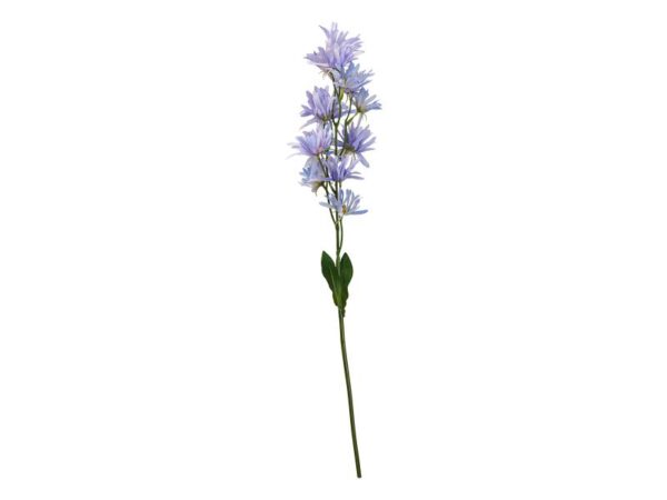 Speedtsberg Asters stilk 58 cm