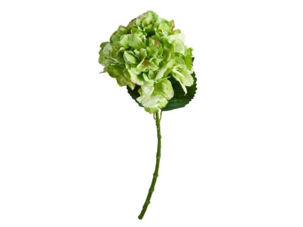 Speedtsberg Hortensia stilk 70 cm
