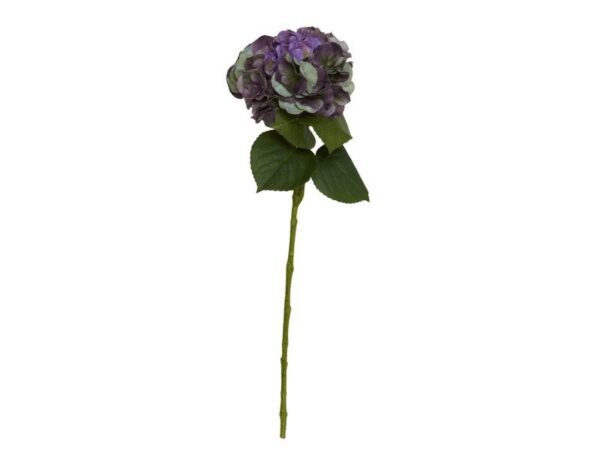 Speedtsberg Hortensia stilk 63 cm
