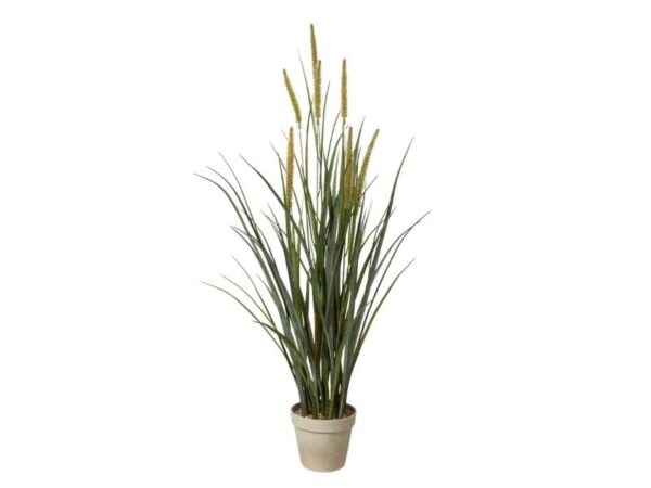 Speedtsberg Yucca Græs 81 cm