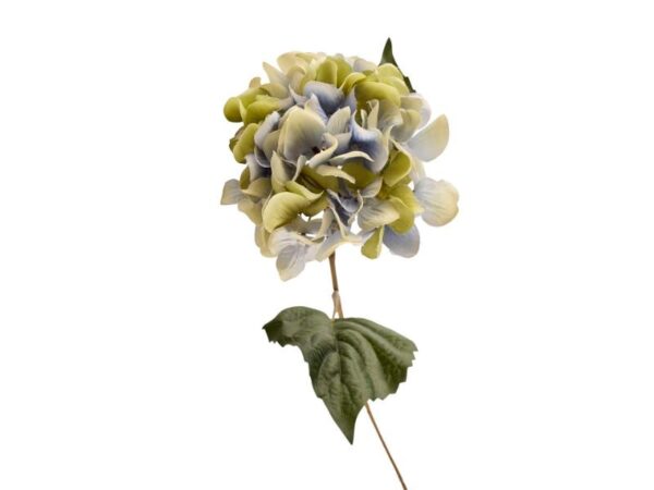 Hortensia Blå 45 cm