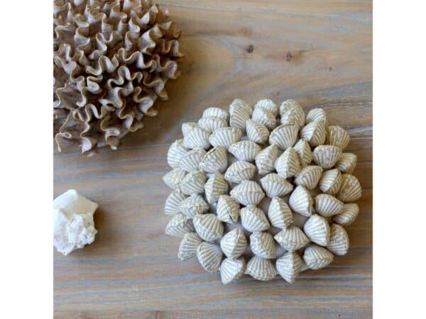 Chic Antique Koral m/muslingeskaller Creme