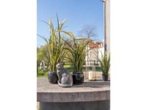 Speedtsberg Figur Kat H31 cm